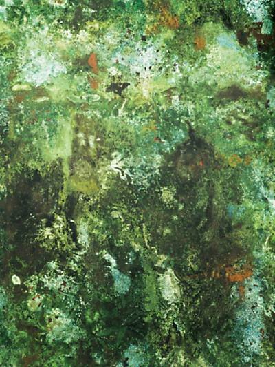 Vert De Gris - Jade Wallpaper | Scalamandre 