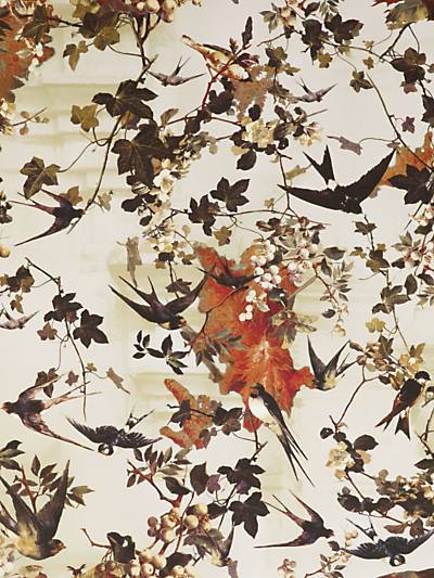 Hirondelles - Printemps Wallpaper | Scalamandre 