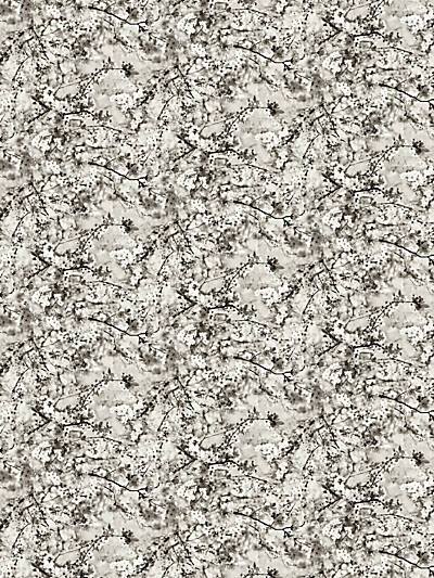 Cerisier - Naturel | Scalamandre