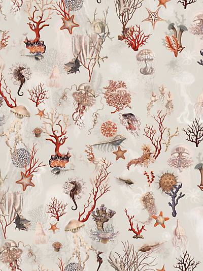 Corail - Ecru Wallpaper | Scalamandre 