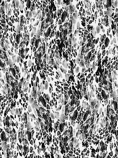 Magma - Roche Wallpaper | Scalamandre 