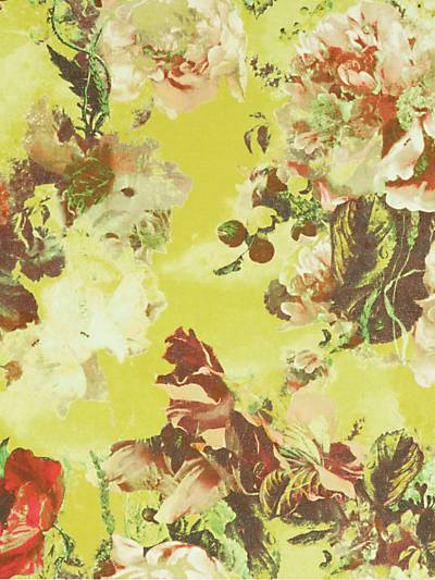 Flamboyant - Pollen Wallpaper | Scalamandre 