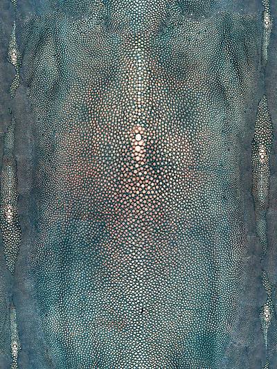 Precieux - Bleu Wallpaper | Scalamandre 