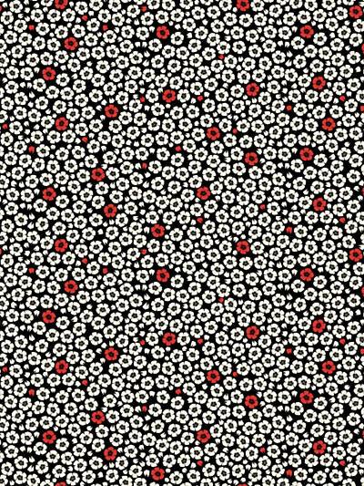 Coquelicot - Noir Wallpaper | Scalamandre 