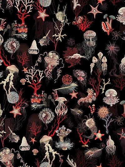 Corail - Noir Wallpaper | Scalamandre 