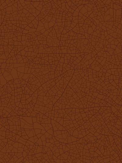 Thebaide - Terracotta | Scalamandre