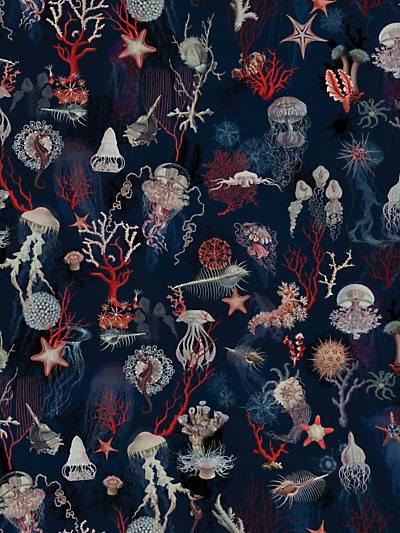 Corail - Marine | Scalamandre