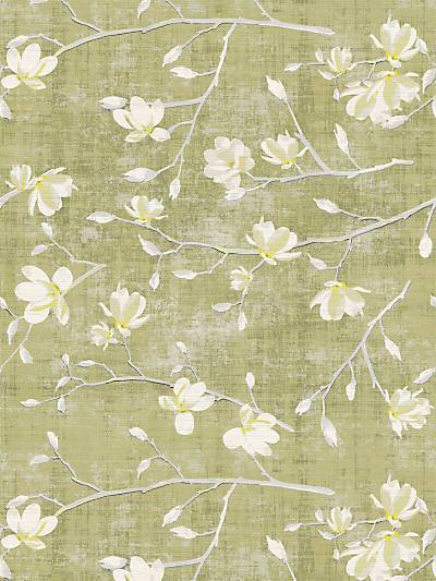 BLOOM - WHEAT - NICOLETTE MAYER WALLPAPER - WNM0001BLOO at Designer Wallcoverings and Fabrics, Your online resource since 2007