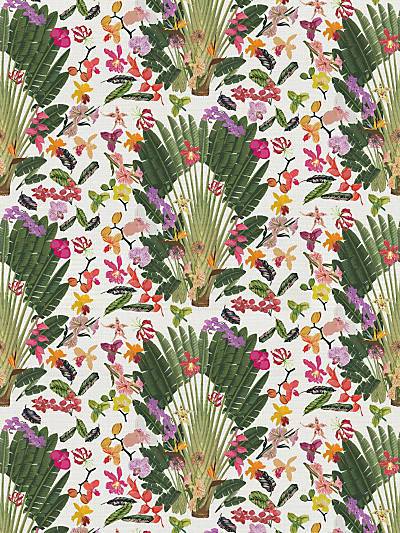 FANTASY TROPICAL - WHITE - NICOLETTE MAYER WALLPAPER - WNM0001TROP at Designer Wallcoverings and Fabrics, Your online resource since 2007