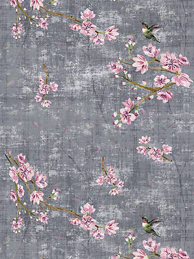 BLOSSOM FANTASIA - CHARCOAL - NICOLETTE MAYER WALLPAPER - WNM1049BLOS at Designer Wallcoverings and Fabrics, Your online resource since 2007