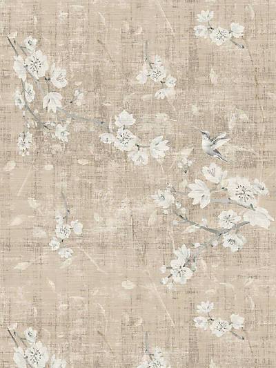 BLOSSOM FANTASIA - FRENCH GRAY - NICOLETTE MAYER WALLPAPER - WNM1050BLOS at Designer Wallcoverings and Fabrics, Your online resource since 2007