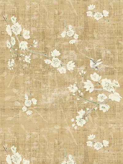 BLOSSOM FANTASIA - GOLD - NICOLETTE MAYER WALLPAPER - WNM1051BLOS at Designer Wallcoverings and Fabrics, Your online resource since 2007