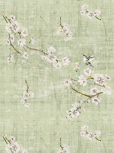 BLOSSOM FANTASIA - CELADON - NICOLETTE MAYER WALLPAPER - WNM1055BLOS at Designer Wallcoverings and Fabrics, Your online resource since 2007