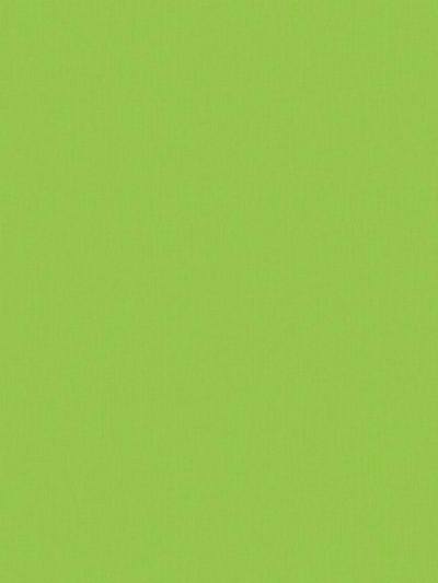 Plain Mini Chevron - Grass Wallpaper | Scalamandre 