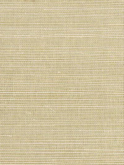 Golden Weave - Gold Wallpaper | Scalamandre 