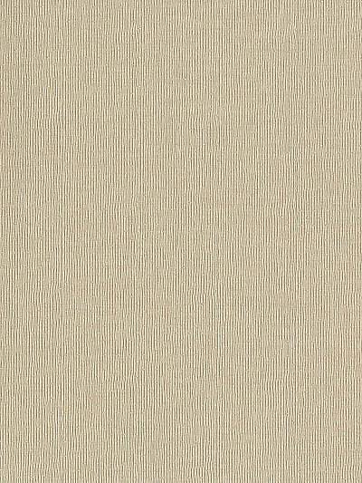 Pinpoint - Limestone Wallpaper | Scalamandre 