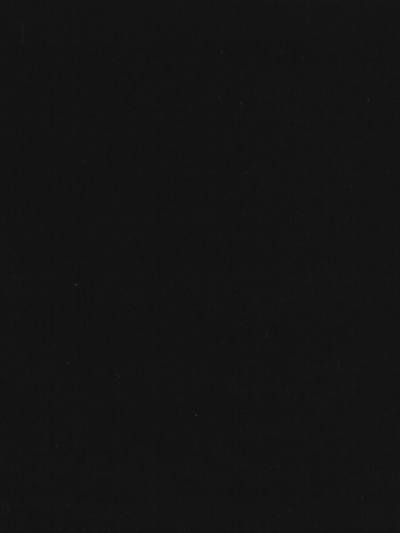 Delfo Ii - Black | Scalamandre