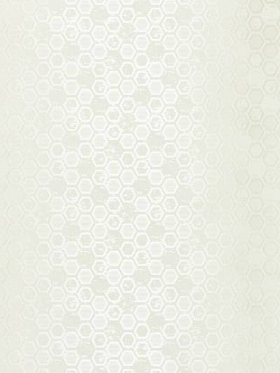 Hexagon Inspiration - Ivory | Scalamandre