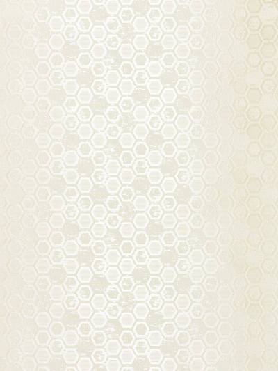 Hexagon Inspiration - Bone | Scalamandre
