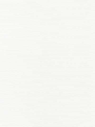 Ventura - Ivory | Scalamandre