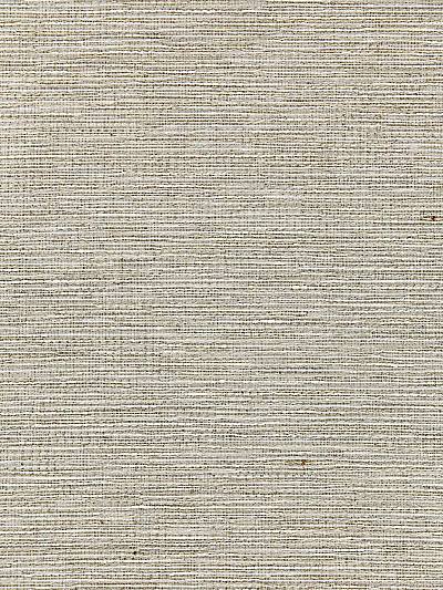 Raffia Decor - Greige | Scalamandre