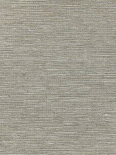 Raffia Decor - Platinum | Scalamandre
