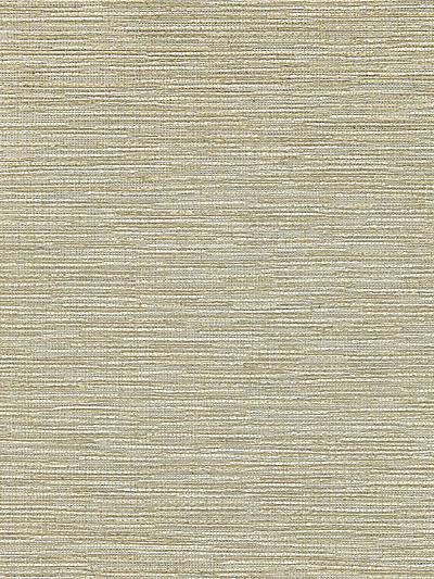 Raffia Decor - Champagne Wallpaper | Scalamandre 