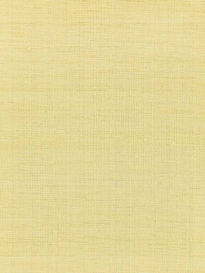 Orissa Silk - Citrone Wallpaper | Scalamandre 