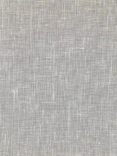 Bandol Solid - Whisper Wallpaper | Scalamandre 