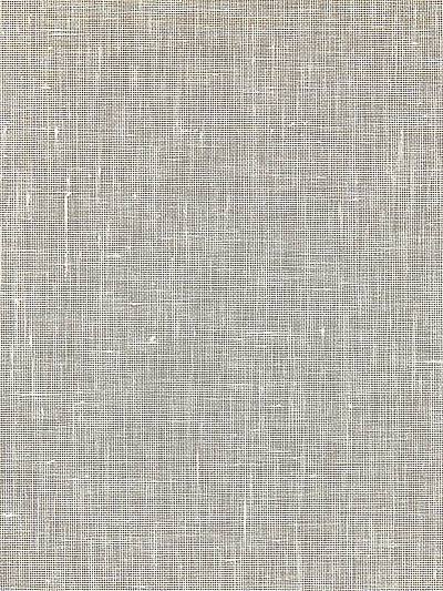 Bandol Solid - Barley Wallpaper | Scalamandre 