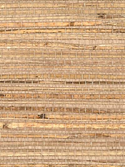 Beach Haven - Tan Wallpaper | Scalamandre 