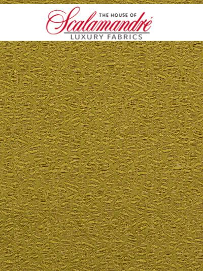 HALLEY - OLIVE - Scalamandre Fabrics, Fabrics - ZAHALL-793 at Designer Wallcoverings and Fabrics, Your online resource since 2007