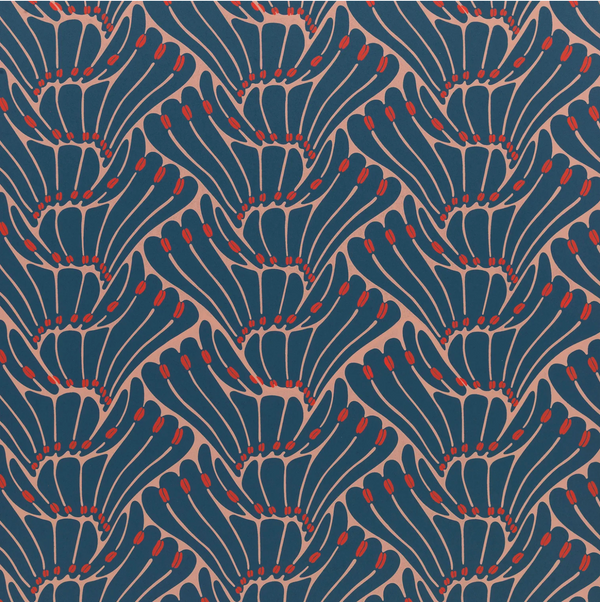 Liebesflugel Dusty Deep Blue,Light Coral,Red | Zeuxis Parrhasius Europe