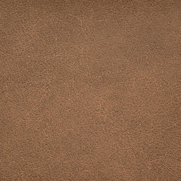 Zion | Innovations USA
