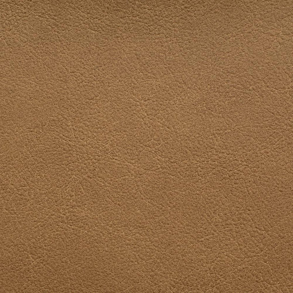 Zion Wallpaper | Innovations USA