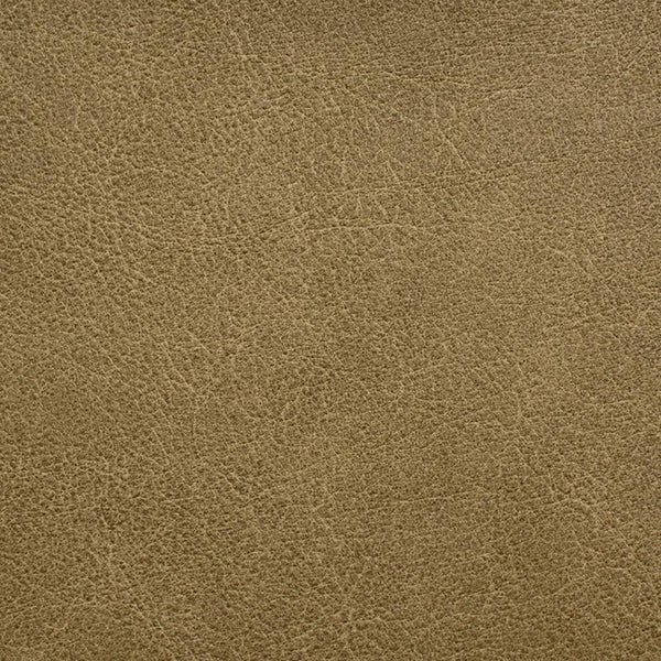 Zion Wallpaper | Innovations USA