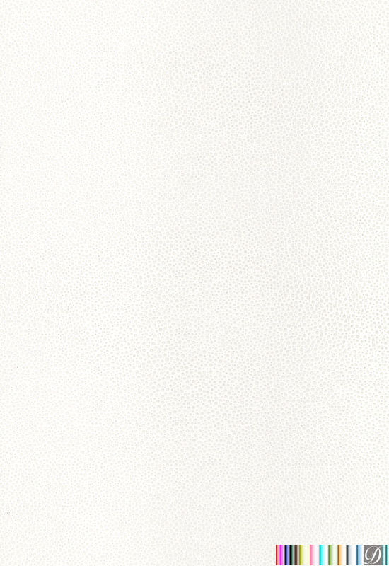 Shantelle Shagreen