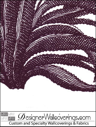 Puget's Pineapple