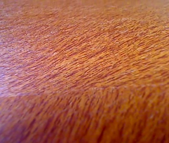 Hairly Hide - Faux Vinyl Hide Wallpaper - Burnt Orange Spice