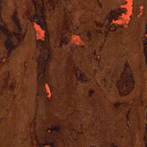 Caluvoto Gilded Cork Wallpaper | Phillipe Romano