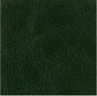 Glaze�� - Faux Vintage Leather - Parsley
