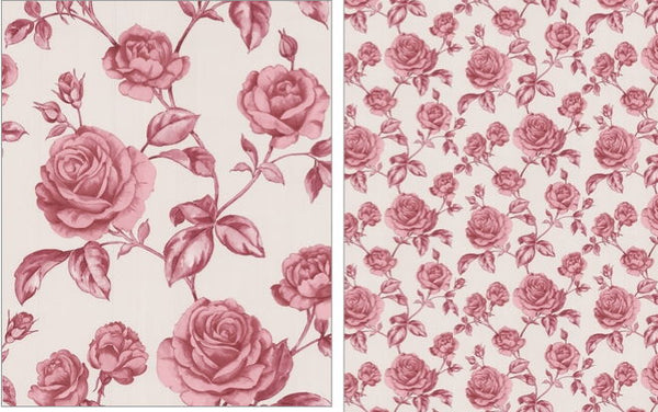 Rosalie Rose Wallpaper - Pink  Red