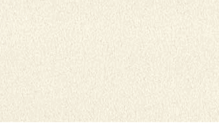 Polo Suede������ -  Faux Suede - Almond