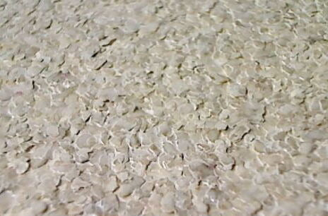MIllion Dollar MIca Chip | Phillipe Romano