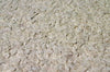 MIllion Dollar MIca Chip Wallpaper | Phillipe Romano