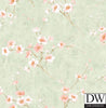 Teuri Island Cherry Blossom Wallpaper