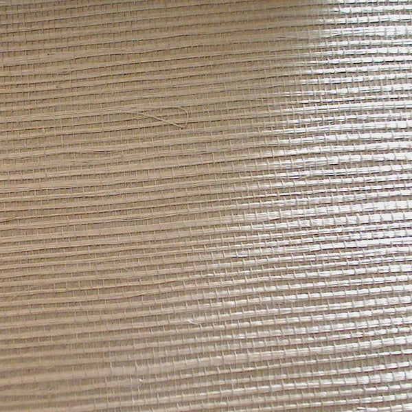 Hilary's Horizontal Grasscloth | Phillipe Romano
