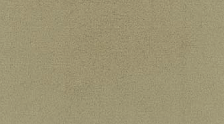 Polo Suede������ -  Faux Suede - Chamois