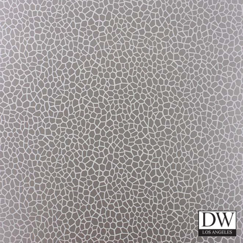 Dragon's Fly Wallcovering