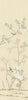 The Huntington - Yellow - Individual Wall Panel - #2